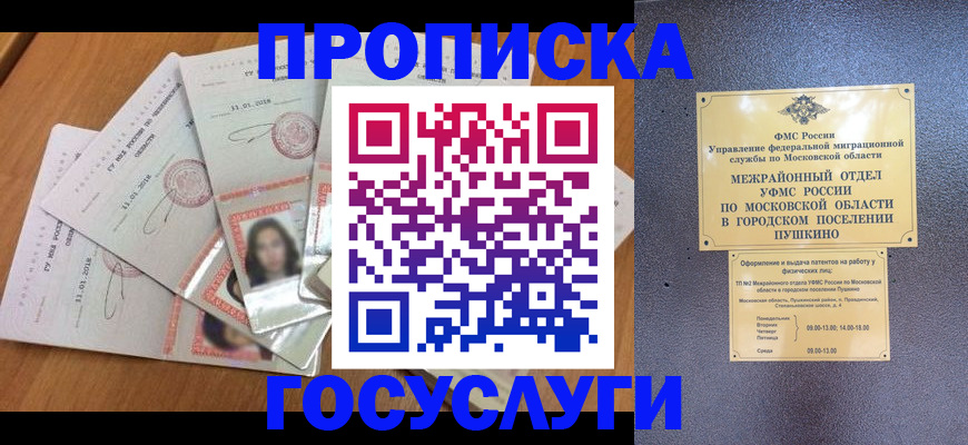 прописка поиск в Йошкар-Оле
